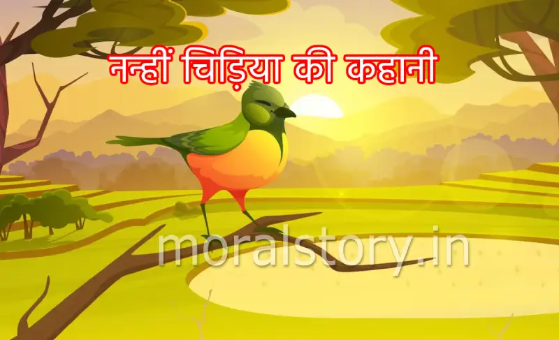 नन्हीं चिड़िया की कहानी (Story of small bird)