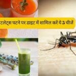 include these 3 types of juice in diet to prevent dengue and malaria also helps to boo