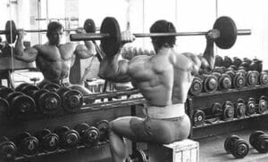 Arnold Workout Plan and Diet Plan (Complete Bodybuilding Guide)