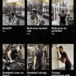 Anatoly 8 week workout plan, strength training program, muscle growth workout, Anatoly gym routine, powerlifting program, 8 week strength plan, beginner to advanced workout plan