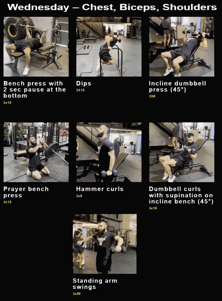 anatoly-chest-biceps-and-shoulder-exercise