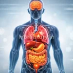 amazing facts in hindi, human body facts, interesting facts 2026, health facts hindi, science facts hindi, rochak tathya, body facts, life facts hindi, knowledge facts, weird facts hindi