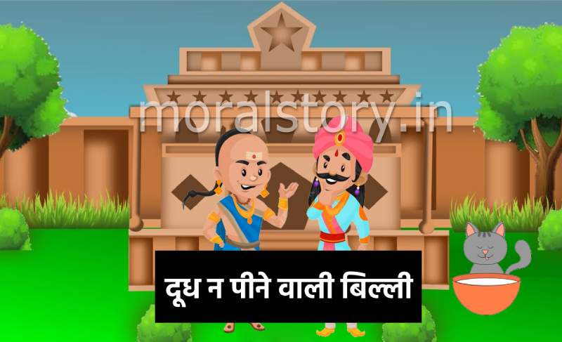 दूध न पीने वाली बिल्ली