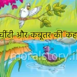 चींटी और कबूतर की कहानी (story of the ant and the pigeon)