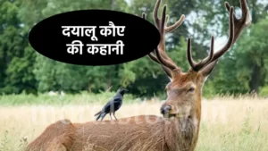 दयालू कौए की कहानी | the story of the kind crow