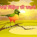 नन्हीं चिड़िया की कहानी (Story of small bird)