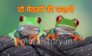 दो मेढकों की कहानी हिंदी में Tale of two frogs in Hindi दो मेढकों की कहानी (Two frogs Story)
