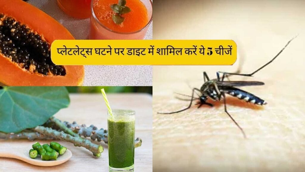 include these 3 types of juice in diet to prevent dengue and malaria also helps to boo