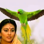 रामायण की अनोखी कहानी