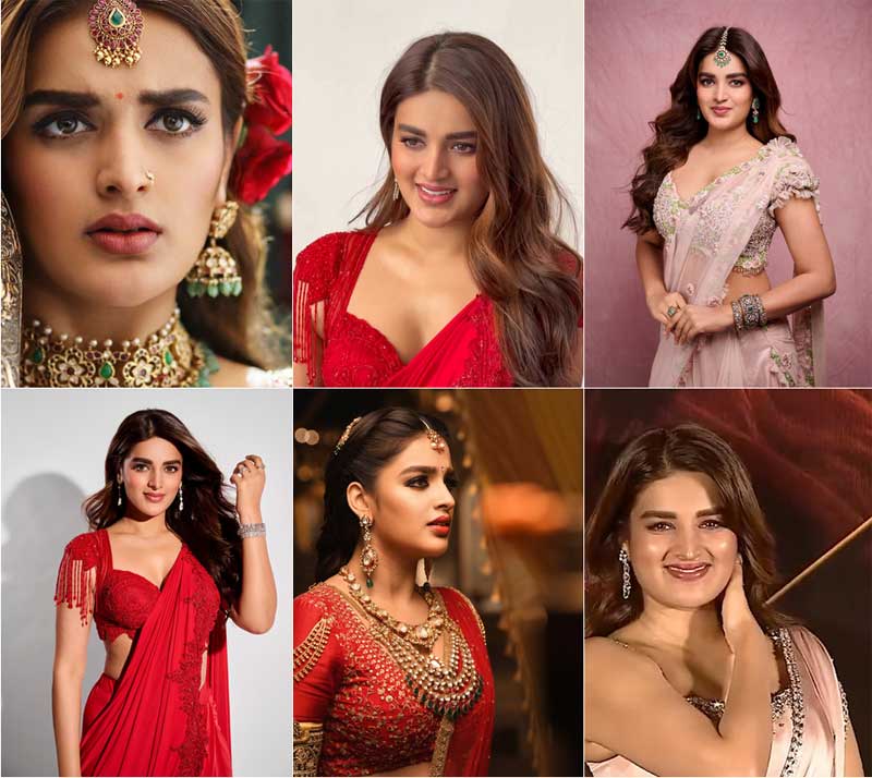 Nidhhi Agerwal biography, Nidhhi Agerwal age, Nidhhi Agerwal height, Nidhhi Agerwal figure, Nidhhi Agerwal movies, Nidhhi Agerwal web series, Nidhhi Agerwal wiki, Nidhhi Agerwal Instagram