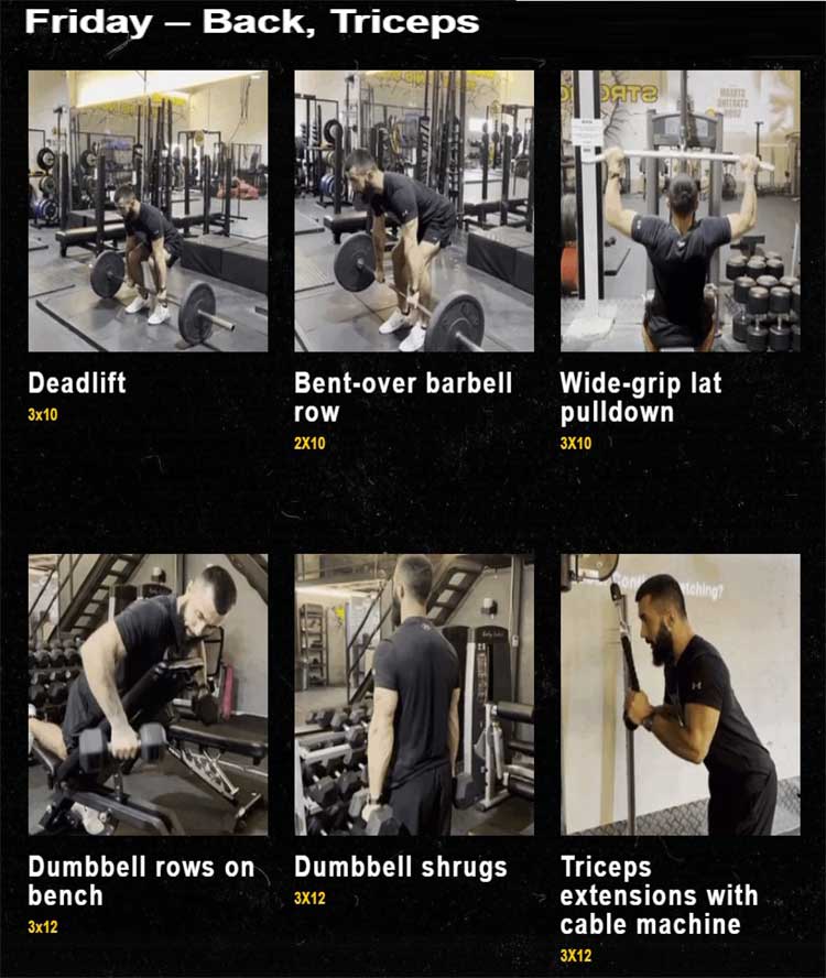 Anatoly 8 week workout plan, strength training program, muscle growth workout, Anatoly gym routine, powerlifting program, 8 week strength plan, beginner to advanced workout plan