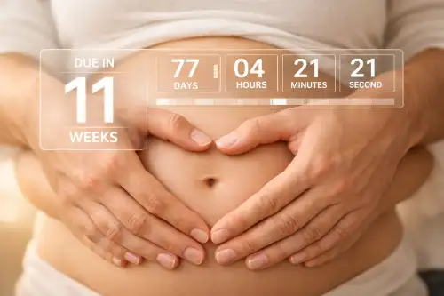 Pregnancy Calculator Best Accurate Due Date Tracker